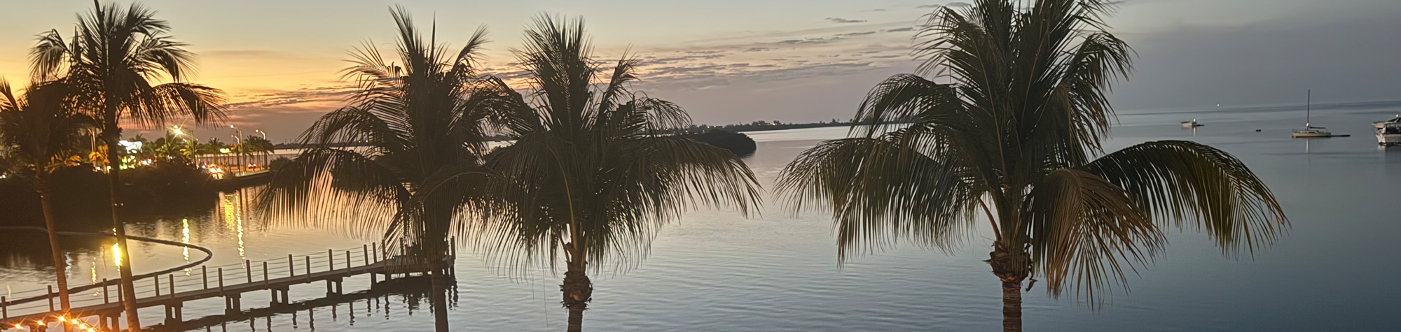 Palms at Sunset